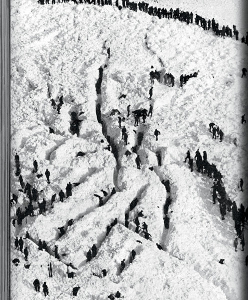 CV114 - Mélissa Pilon, Foules — Claudia Polledri