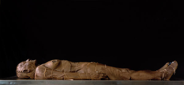 CV88 - Anne-Marie Ninacs – À propos de Lucidité. Vues de l’intérieur