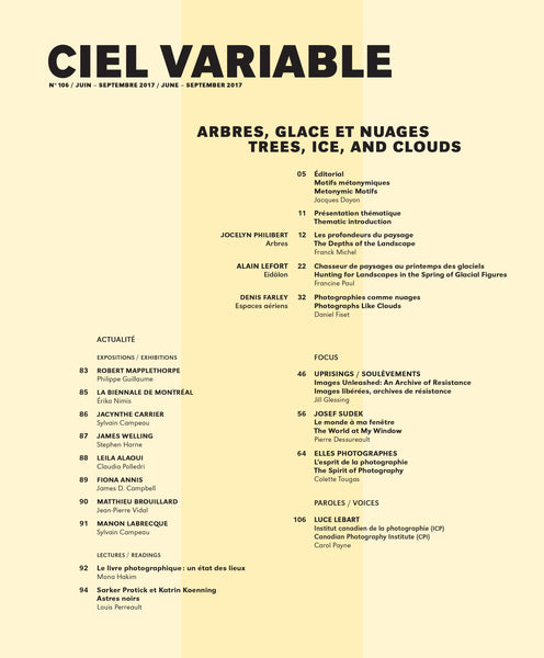 CIEL VARIABLE 106 - ARBRES, GLACE ET NUAGES