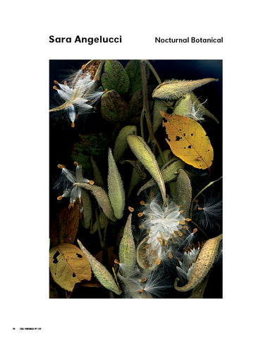 CV130 - Sara Angelucci, Nocturnal Botanical – Sara Knelman