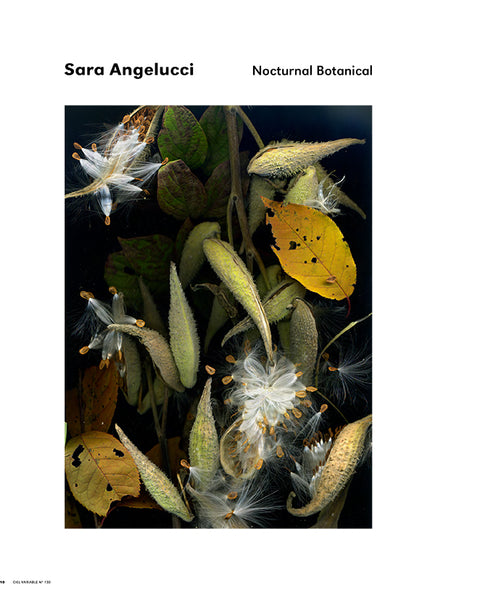 CIEL VARIABLE 130 -  Plantes et jardins